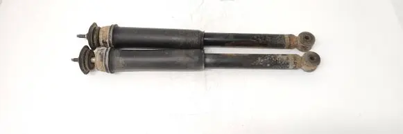Mitsubishi Grandis Rear shock absorber/damper