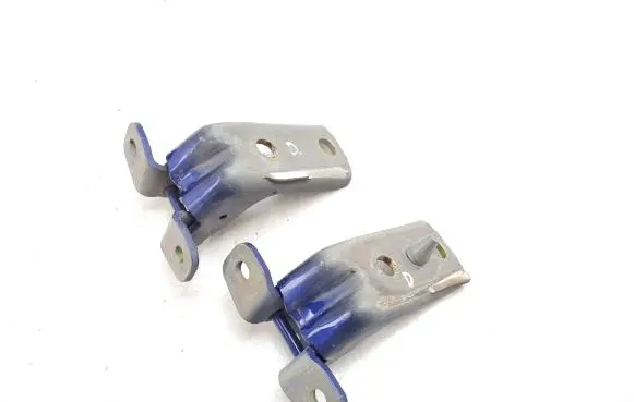 Ford Mustang V Front door hinges set 30A5A