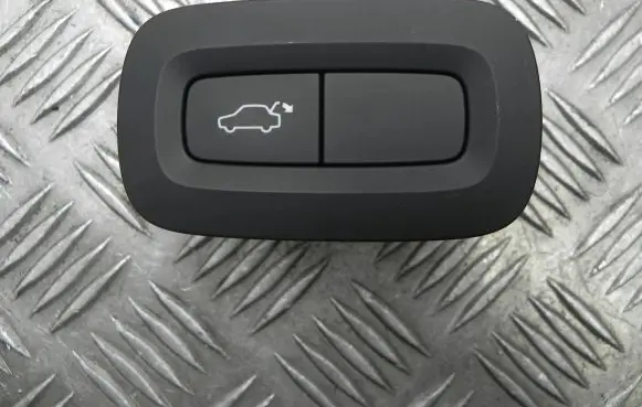 Tailgate opening switch