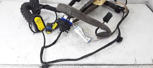 Renault Espace - Grand espace IV Rear door wiring loom 8200252568