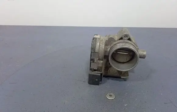 Citroen Berlingo Throttle body valve 0280750085