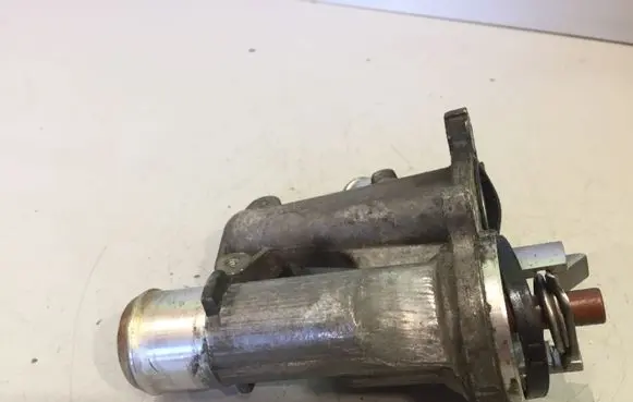 Thermostat/thermostat housing