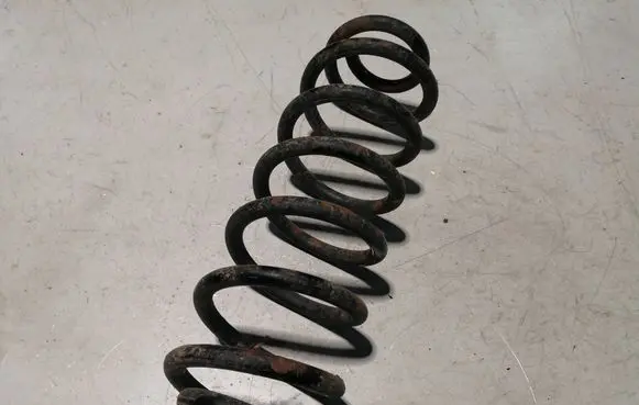 Volkswagen PASSAT B6 Rear coil spring