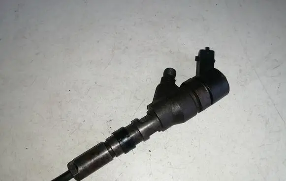 Citroen C5 Fuel injector 0445110008 9635196580