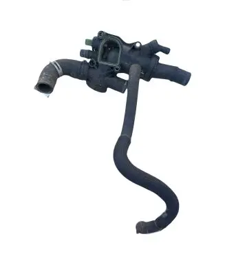 Thermostat/thermostat housing