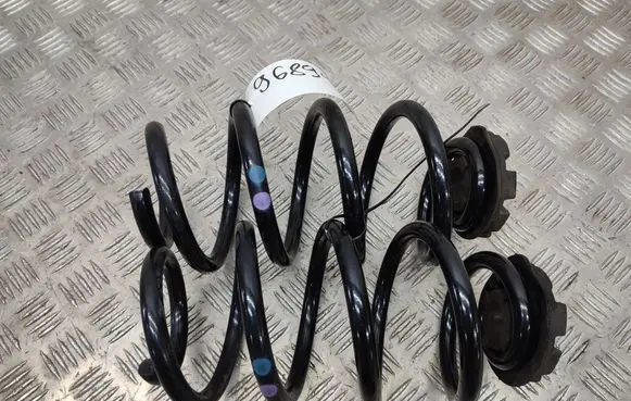 Renault Zoe Rear coil spring