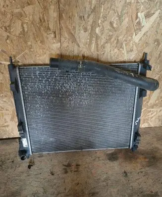 Nissan Juke I F15 Coolant radiator 214103ZU0A