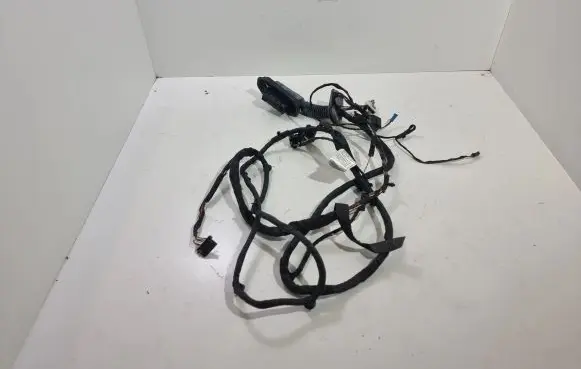 Front door wiring loom