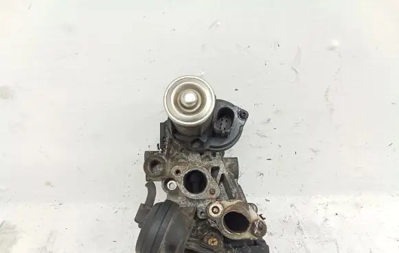 Skoda Roomster (5J) EGR valve