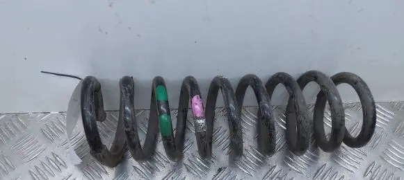 Rear coil spring