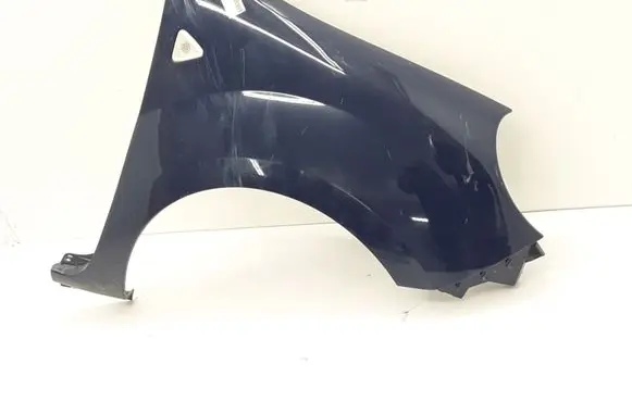 Renault Kangoo II Fender 631002009R