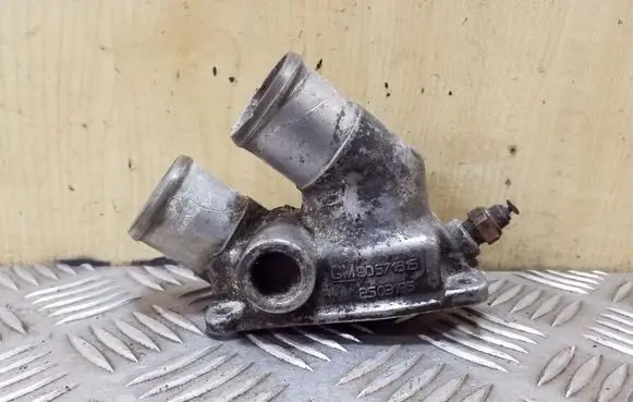 Thermostat/thermostat housing