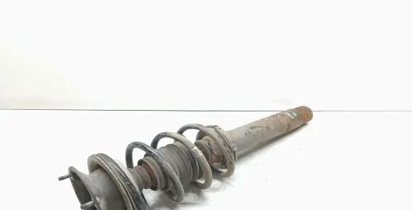 BMW X1 E84 Front shock absorber with coil spring