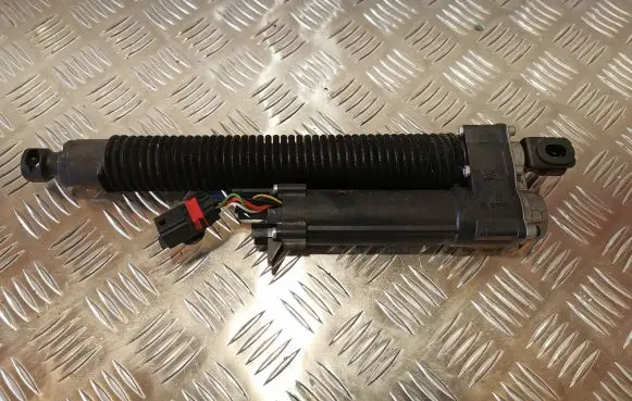 Tailgate strut