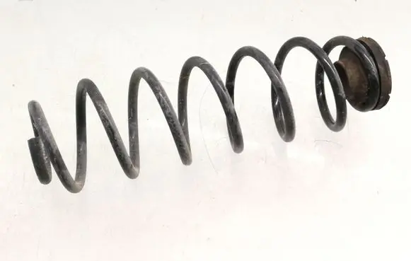 Skoda Fabia Mk3 (NJ) Rear coil spring