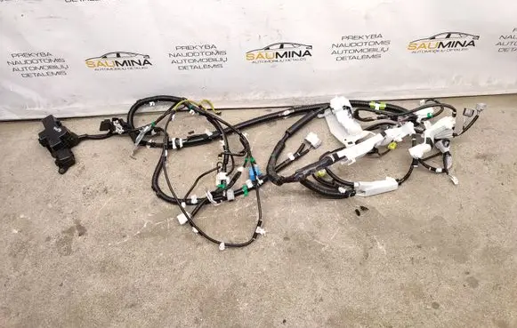 Toyota RAV 4 (XA50) Engine installation wiring loom
