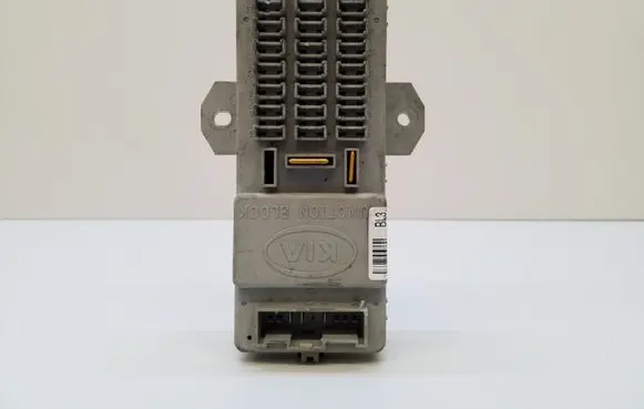 KIA Sorento Fuse module 911703E920