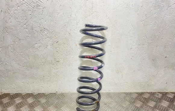 Ford C-MAX II Rear coil spring