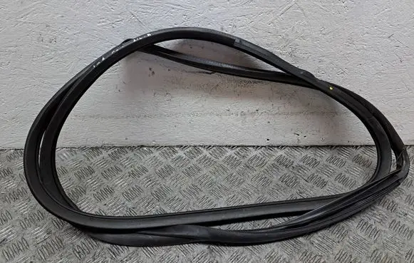 Toyota Land Cruiser (J120) Rear door rubber seal (on body) 6233160040B0