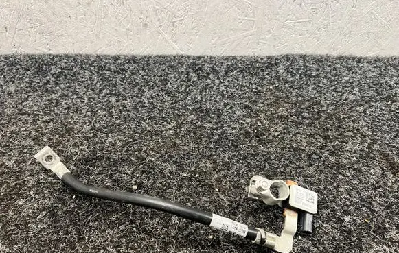 BMW X3 G01 Negative earth cable (battery) 8736083