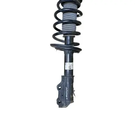 Chevrolet Traverse II Front shock absorber with coil spring 84257824 4d20220 824904012790