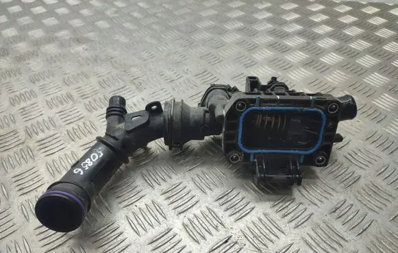 Thermostat/thermostat housing
