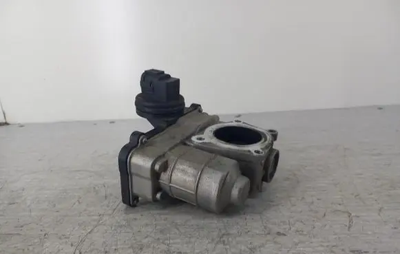 Throttle body valve