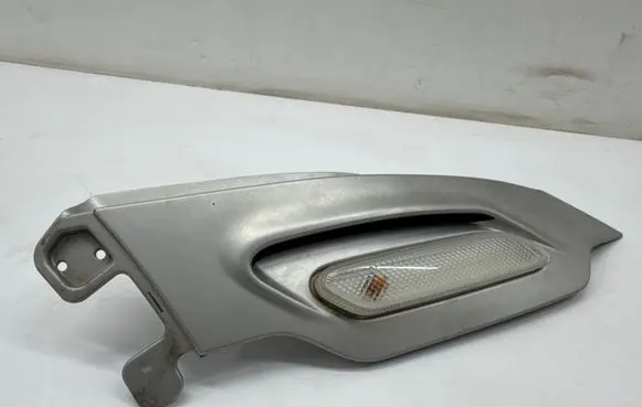 Mini Paceman (R61) Front fender indicator light 9802607