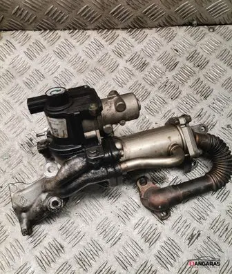 Nissan Qashqai EGR valve cooler 8200729079