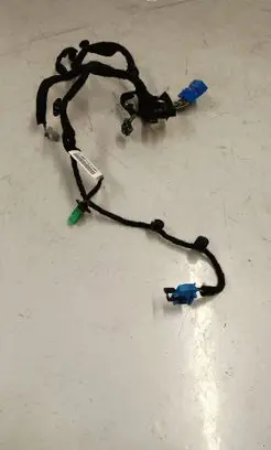Other wiring loom