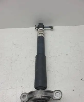 Chrysler Pacifica Rear shock absorber/damper P68231971AG 8014020020AF