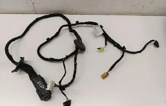 Audi Q4 Sportback e-tron Front door wiring loom 1EA973202A