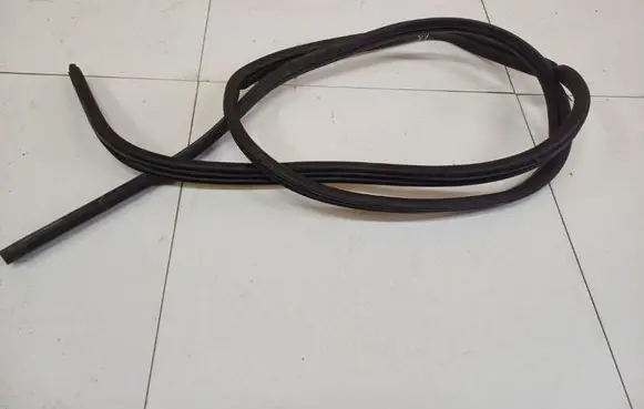 Renault Scenic I Rubber seal front coupe door 