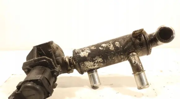 Peugeot 308 EGR valve 3169510781