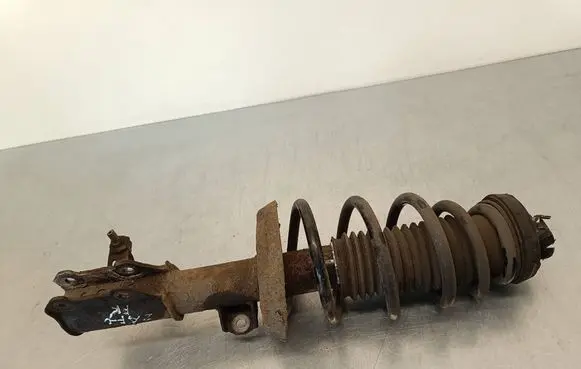 Opel Zafira C Front shock absorber with coil spring 