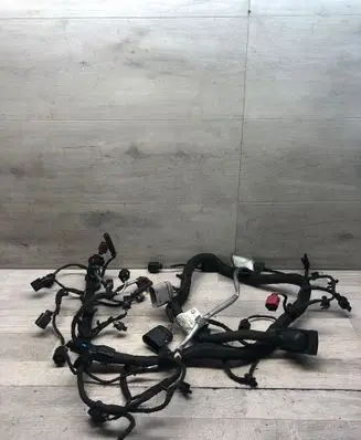 Engine installation wiring loom