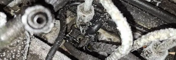 Renault Clio III Fuel injector 