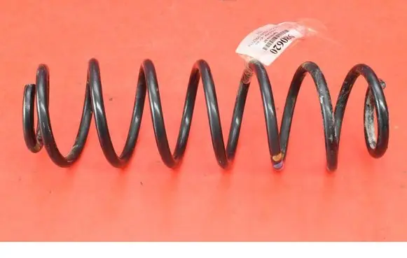 Rear coil spring