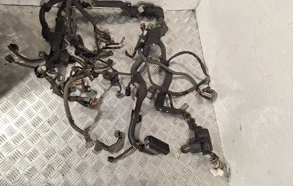 Engine installation wiring loom