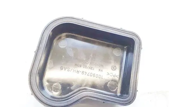 Headlight/headlamp dust cover