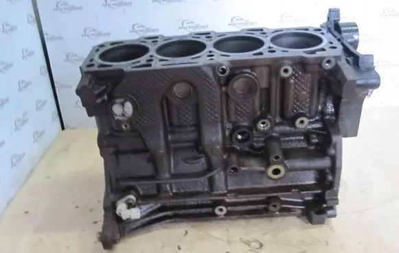 Fiat Doblo Engine block 55204650