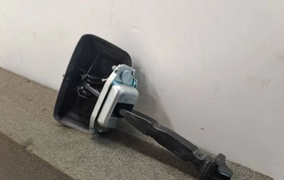 Dacia Sandero III Rear door check strap stopper 824308415R