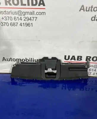 Engine bonnet/hood lock trim molding