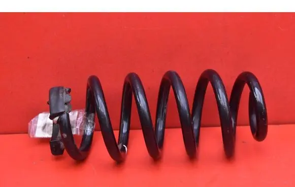 Volkswagen ID.3 Rear coil spring 