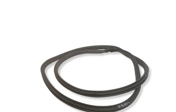 Nissan Juke I F15 Rear door rubber seal (on body) 