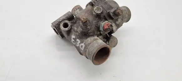 Thermostat/thermostat housing