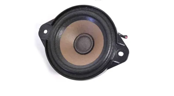 Rear door speaker