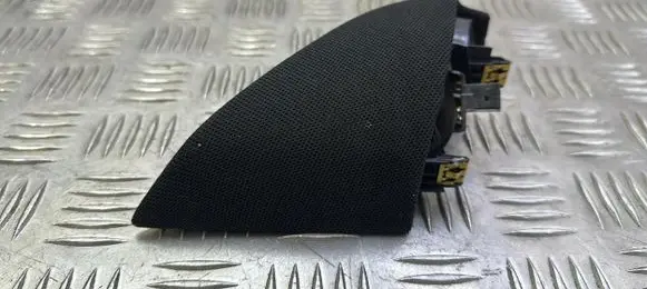 Front door high frequency speaker