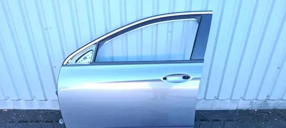 Opel Insignia B Front door 