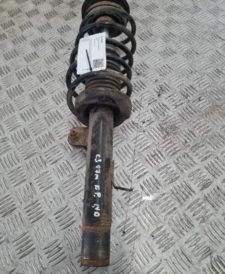 Citroen C3 Front shock absorber/damper